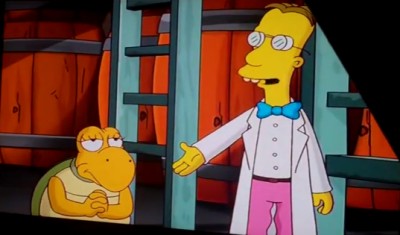 File:Turtles-Simpsons-The Simpsons Game.jpg