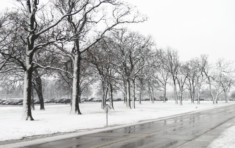 File:2007-04-11@13-34 Spring, frozen in its tracks.jpg