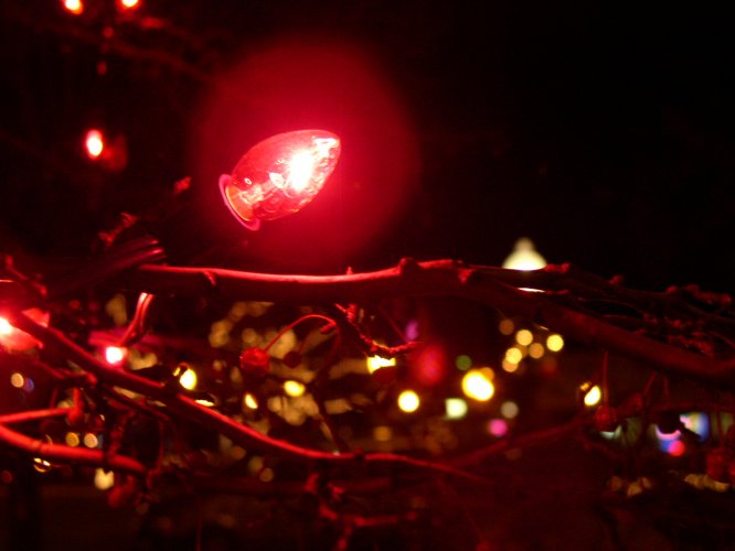 File:2006-12-20@00-08 Christmas lights.jpg