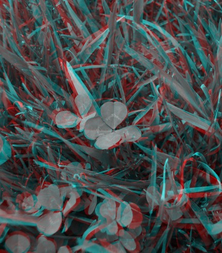 File:Clover 2007-05-02@13-51-59 anaglyph.jpg