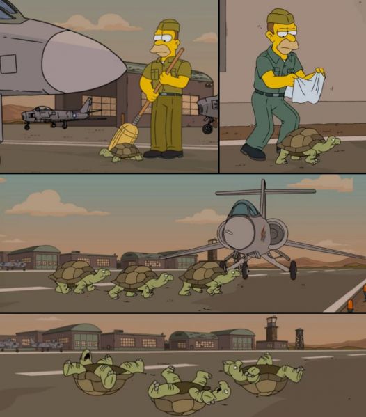 File:Turtles-Simpsons-26x20-Lets Go Fly a Coot runway.jpg